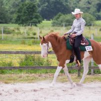 Jennifer Oltmanns aus Bad Zwischenahn reitet seit fünf Jahren Western - im Nordwesten eine eher seltete Sportart. Mit ihrem Wallach Günni (Topgun) startet sie auf Turnieren der EWU Bremen/Niedersachsen (Foto: Privat).