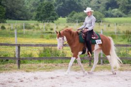 Jennifer Oltmanns aus Bad Zwischenahn reitet seit fünf Jahren Western - im Nordwesten eine eher seltete Sportart. Mit ihrem Wallach Günni (Topgun) startet sie auf Turnieren der EWU Bremen/Niedersachsen (Foto: Privat).