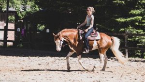 Training muss sein: Vor fünf Jahren hat Jennifer Oltmanns umgesattelt (Foto: Privat)
