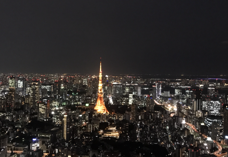 Tokyo bei Nacht (Foto: Kim Render)