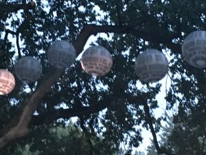 Originell: Todessterne als Lampions. (Bild: Verena Sieling)