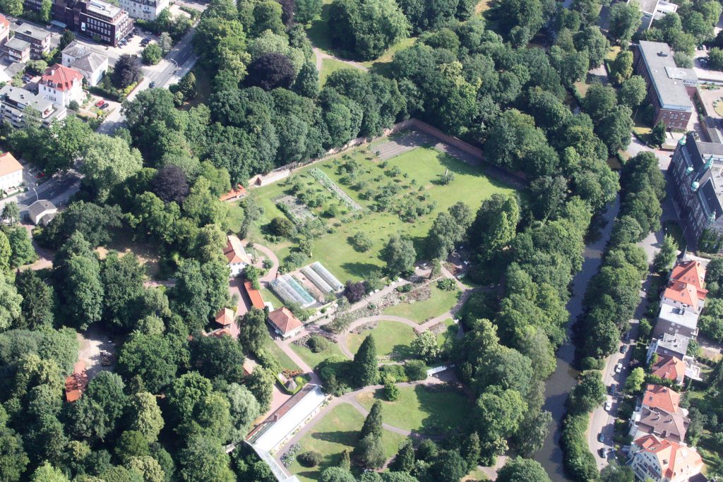 Von Bin im Garten - Eigenes Werk, CC BY-SA 3.0, https://commons.wikimedia.org/w/index.php?curid=15260635
