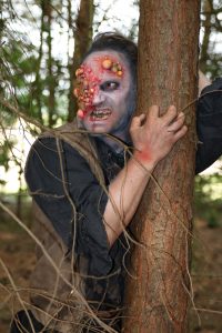 Im Wald treffen die Besucher auf verfluchte Gestalten (Foto: Michelle Claaßen)